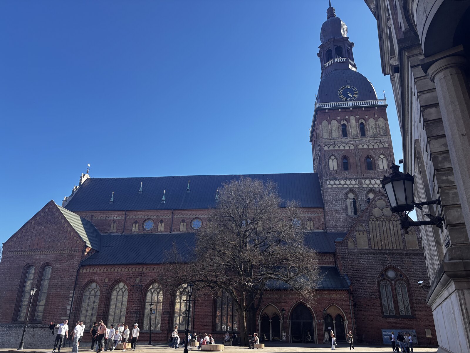 Domkyrkans torn över Domkyrkoplatsen mot en klar himmel