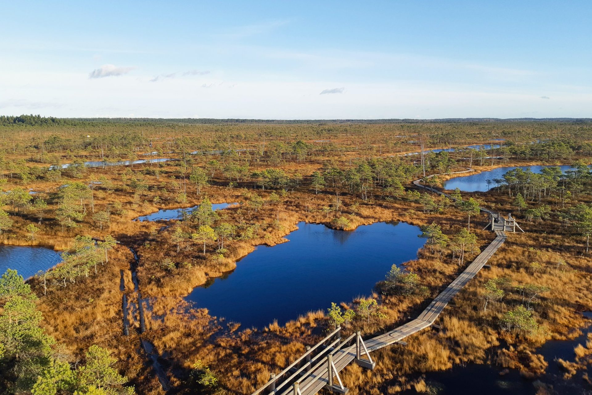 Flygbild över Stora Ķemeri myr, Lettland
