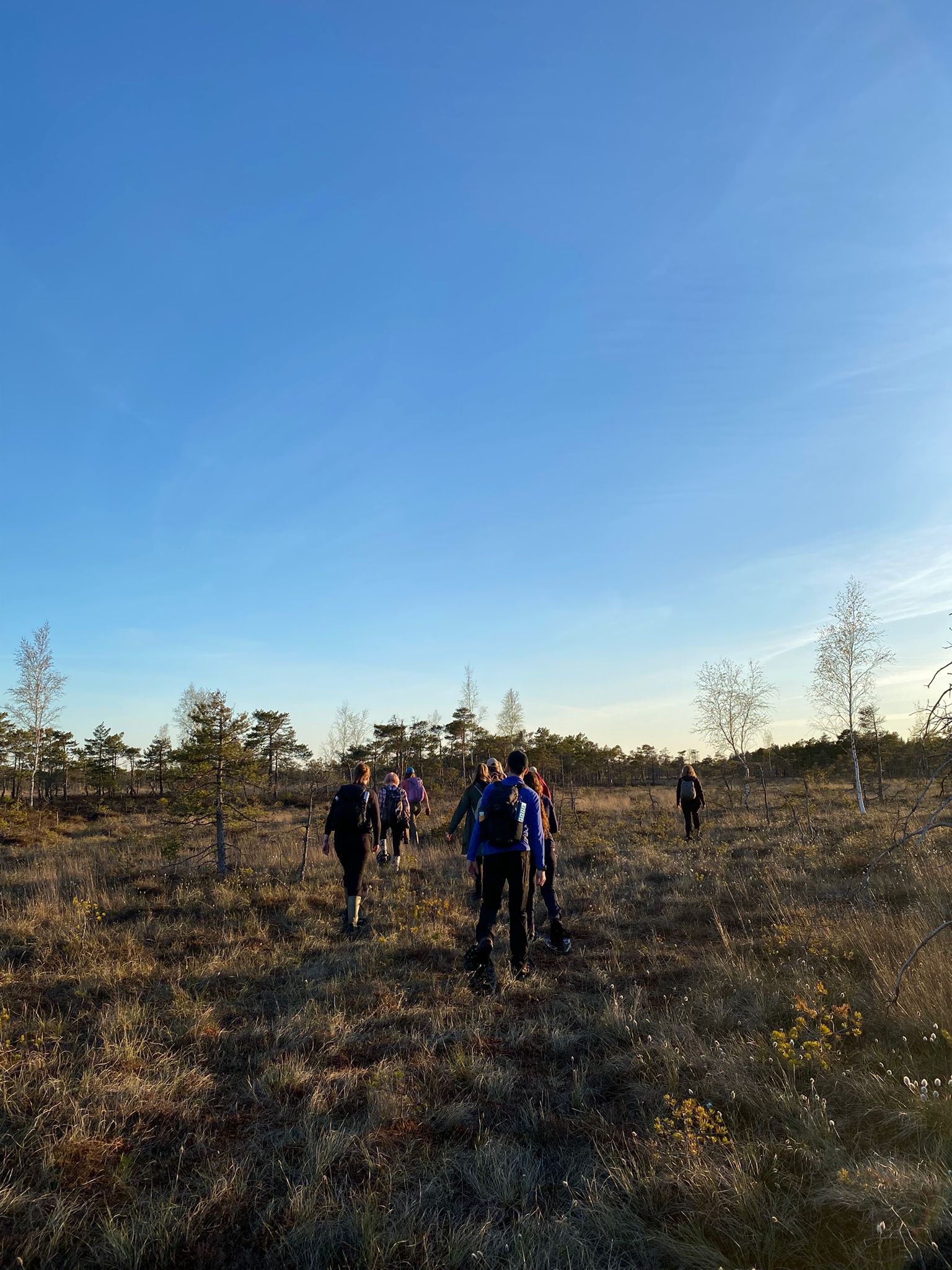 Tre gäster med raska steg över den öppna högmossen i myrskor
