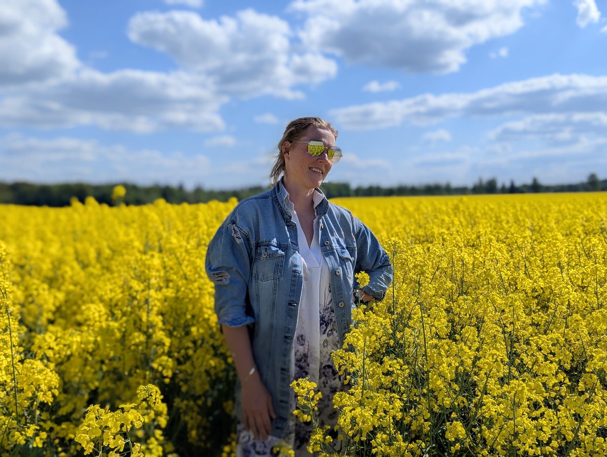 Ett blommande rapsfält, vår i Gaujadalen