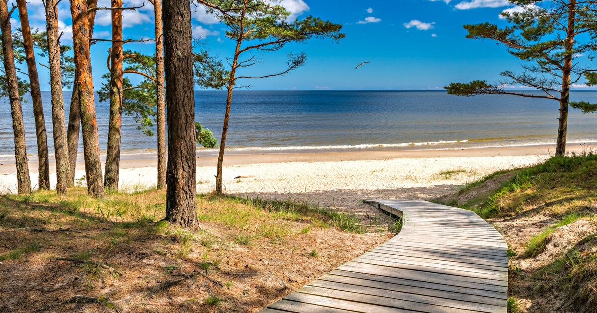 Jūrmala, tallskogen som möter Östersjöns vita kvartssand, 25 km från Riga.