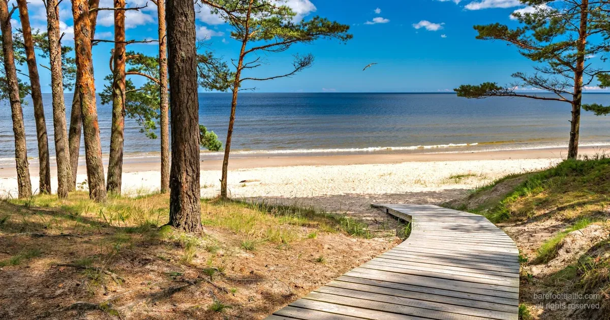 Jūrmala, tallskogen som möter Östersjöns vita kvartssand, 25 km från Riga.